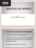 Download JUICIO DE AMPAROpdf by oil SN254293622 doc pdf