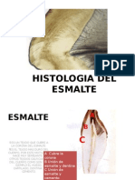 Histologia Del Esmalte