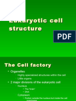 The Cell Factory