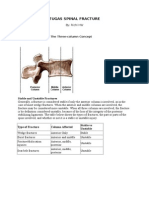 Denis Classification