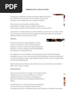 Cambios en El Ciclo de Vida