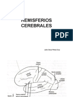 Hemisferios Cerebrales