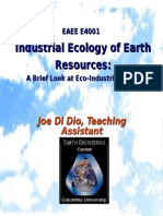 Industrial Ecology of Earth Resources