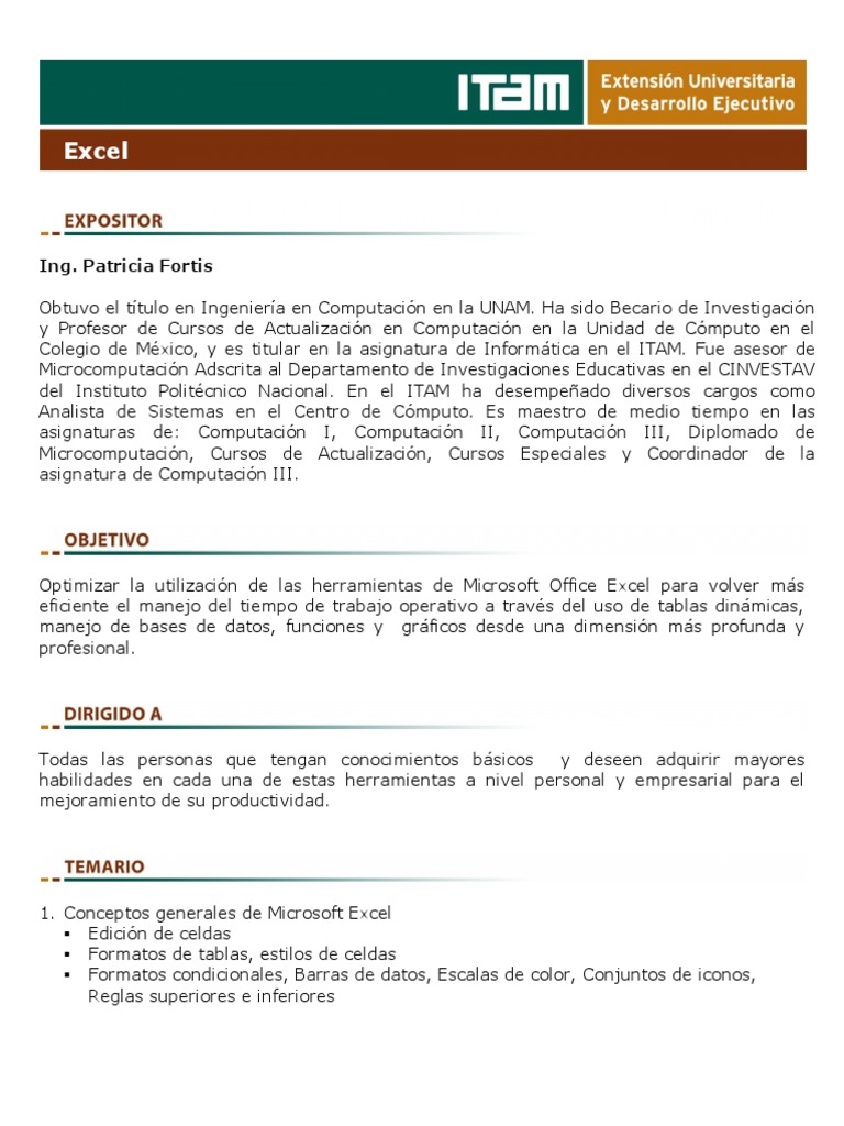 Temario Excel Itam PDF Tabla (base de datos) Microsoft Excel
