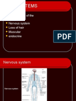 Body Systems: The Systems of The Body Nervous System Loss of Hair Muscular Endocrine