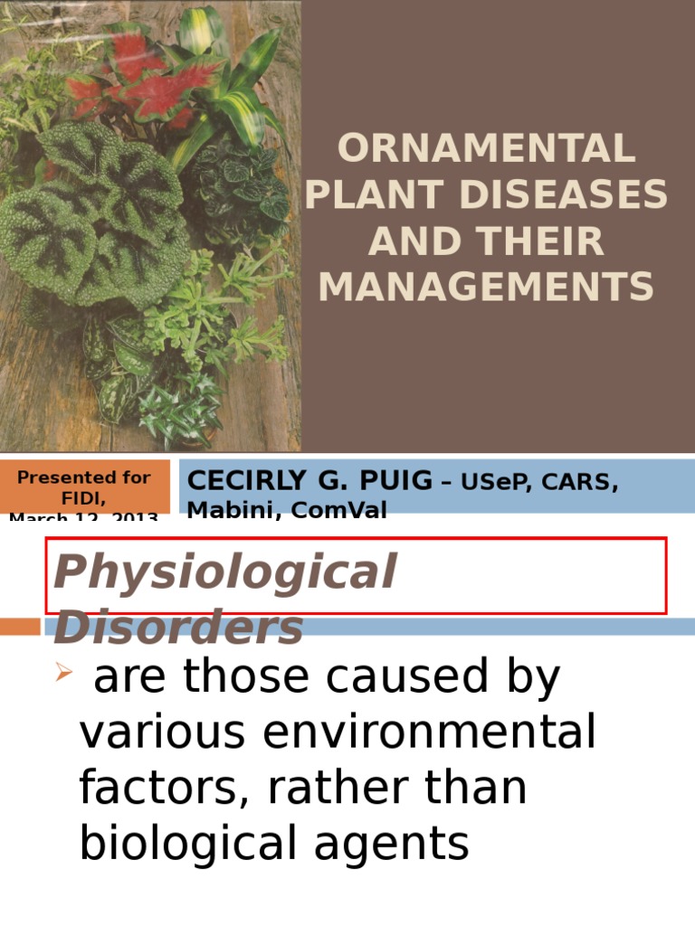diseases of ornamental plants and their management Ornamental diseases