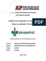 Informe de Auditoria Transber Pucallpa Febrero 2009