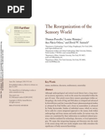 PORCELLO, T. The Reorganization of The Sensory World