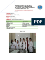 PRACTICA DE LABORATORIO