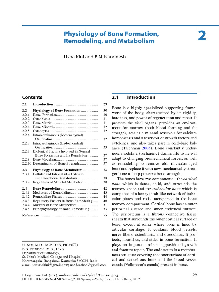 Physiology of Bone Formation, Remodeling, and Metabolism PDF | PDF