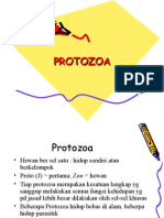 Protozoa