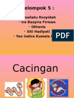 Cacingan