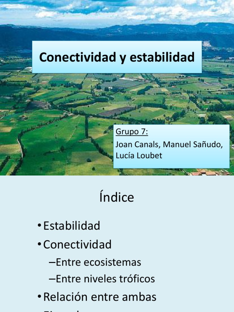 Conectividad y Estabilidad Ecosistemas PDF Red alimentaria Ecosistema