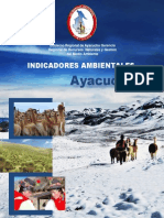 Indicadores Ambientales Ayacucho