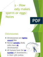 Meiosis Notes