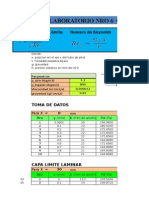 Capa Limite Lab Final