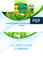 Small Business and Entrepreneurship Project