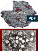 PARVOVIRUS 2015