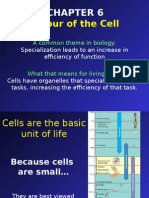 A Tour of The Cell: A Common Theme in Biology
