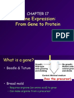 17-Gene - To.protein