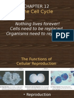 Chapter 12 Mitosis