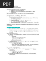 Chapter 18 Reg. of Gene Exp