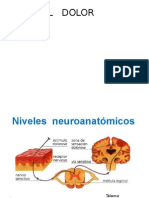 Vias Del Dolor