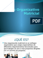 Modelo Organizativo Matricial