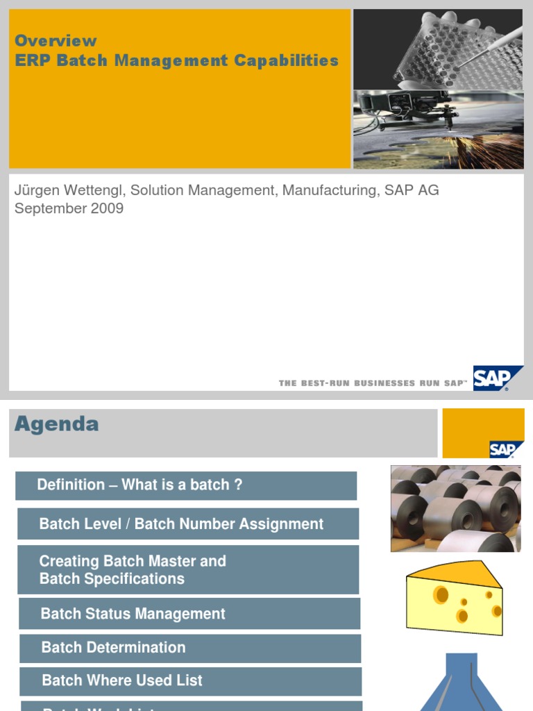 Batch Management Overview PDF | PDF | Shelf Life | Enterprise Resource ...
