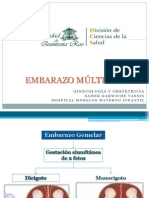 Embarazo Multiple