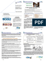 Induccion 2015 PDF