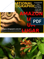 Amazônia Um Lugar No Mundo