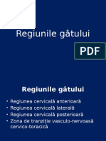 Regiunile Gâtului