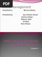 Lect 9-10 Choosing Brand Elements To Build Brand Equity