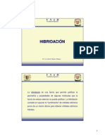 10 Hibridacion PDF