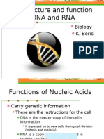 The Structure and Function of Dna and Rna