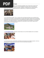 Las Ramas de La Sociologia