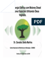 1°SeminárioFRE - ANEEL - CENBIO - Óleos Vegetais - 041209