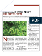 Sweet Facts About The Bitter Neem