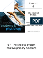 Skeletal System