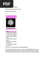 Download Virus by anon-634494 SN2545892 doc pdf