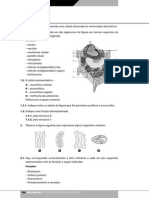 Aebg10 B Teste1 PDF
