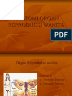 Anatomi Organ Reproduksi Wanita