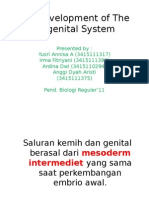 Perkembangan Sistem Urogenital