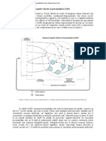 Teoria+sistemului+cognitiv