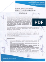 Agenda Joven Para Desarrollo de San Martín 2014