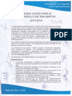 Agenda Joven para Desarrollo de San Martín 2014