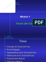 M1-Teoría Del Caso