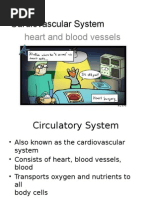 Cardiovascular System Powerpoint | PDF | Artery | Vein