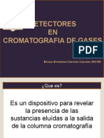 Detector de cromatografia.pptx